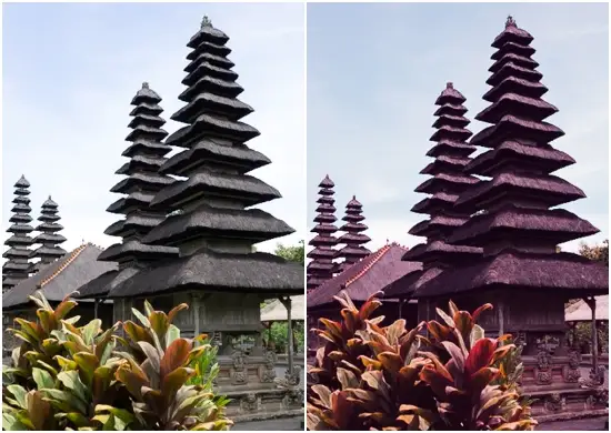 Tranquil Purple Lightroom Presets