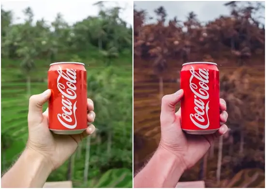 Bali Color Purple Lightroom Preset