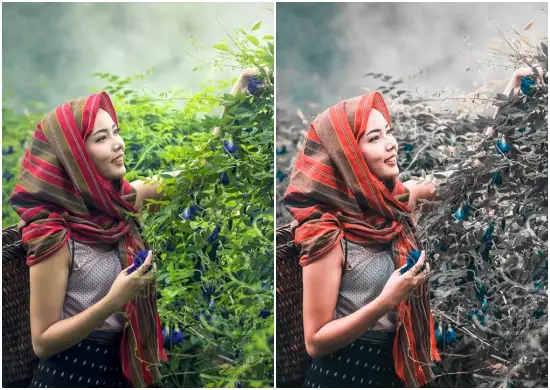 Girl Farmer Moody Preset