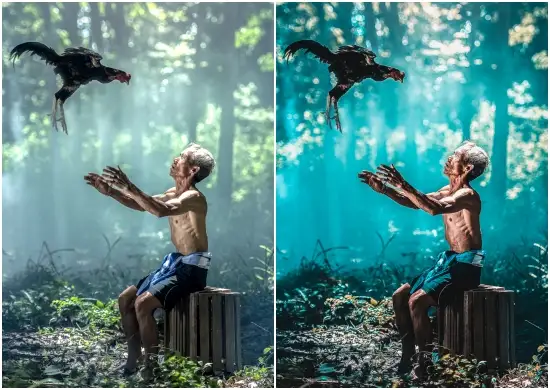 Moody Blue Lightroom Mobile Preset