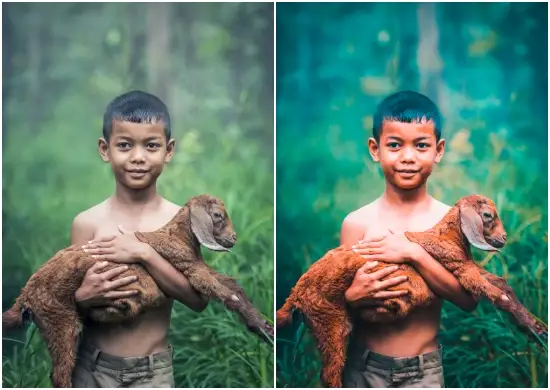 Asia Contrast Preset For Lightroom