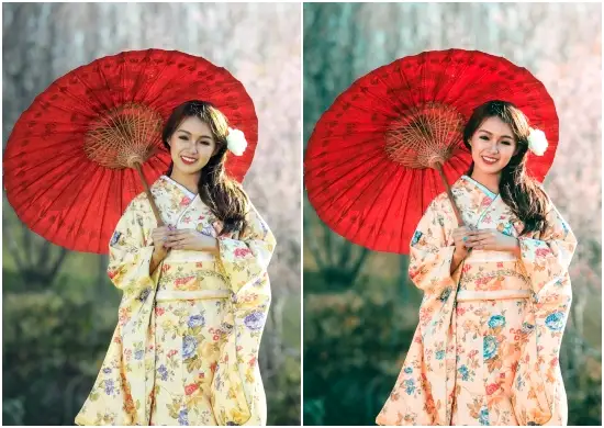 Japan Mood Mobile Presets