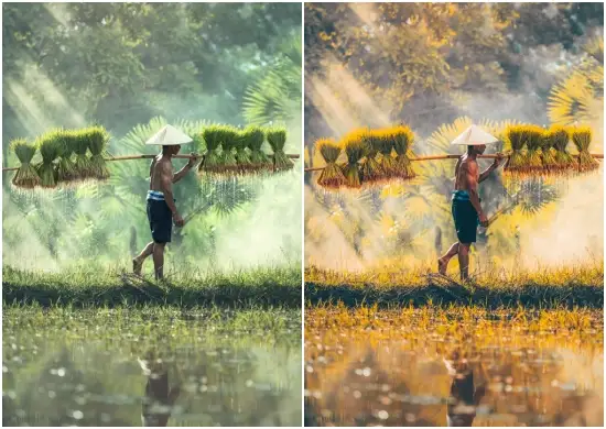 Download Free Dng Cambodia Mobile Presets