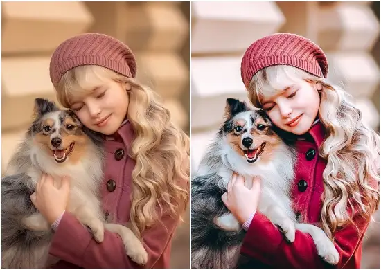 Free lightroom presets for portraits mobile download