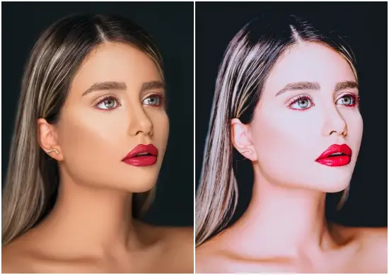 Moody Portrait Preset Lightroom Mobile Presets DNG