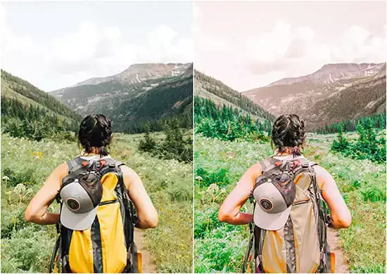 Look At The Green Forest