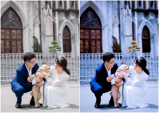 Free Bright Wedding Presets Lightroom DNG