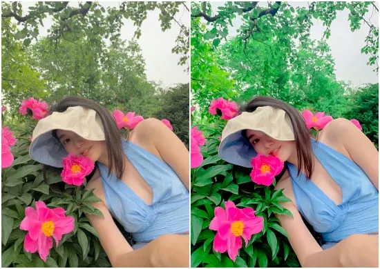 Color White Presets Filters