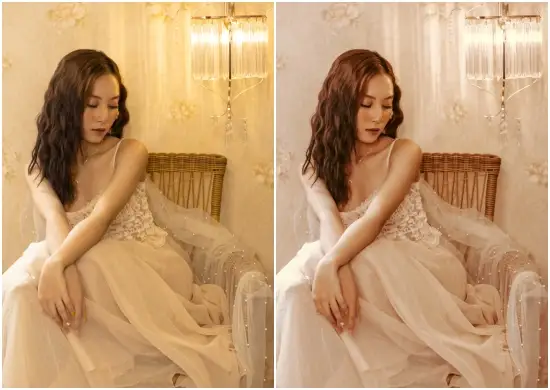 Dark Brown Preset Lightroom Presets