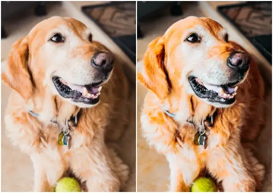 Home Buddies Lightroom Preset