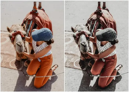 Charcoal Pack for Black and White Lovers