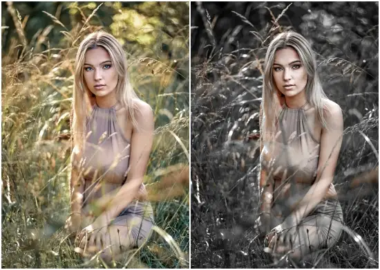 Charcoal Mobile & Desktop Lightroom Presets