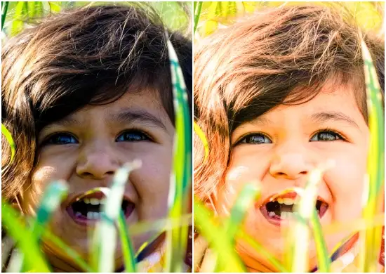 Download Little Wonder Lightroom Presets