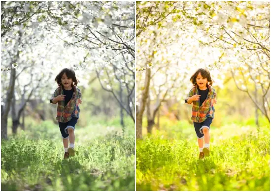 Free Dng Summer Memories Mobile Preset