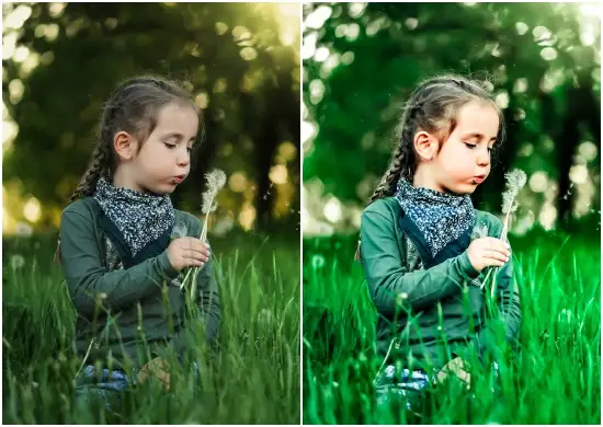Download Free Lightroom Preset Dng