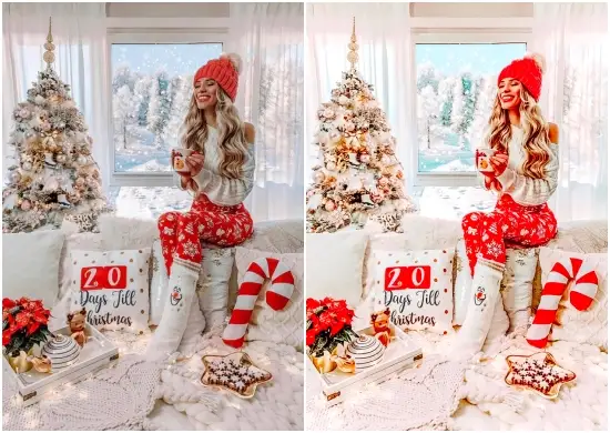 Download Presets Christmas Home Winter