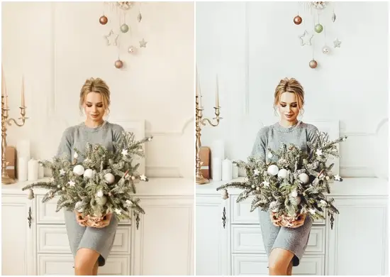 Free Christmas Lightroom Presets Dng