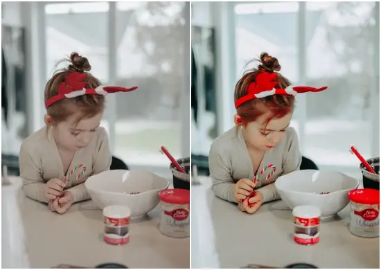 Lightroom Christmas Preset Free Dng