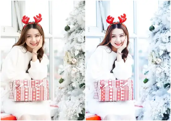 Free Christmas Preset Dng Download