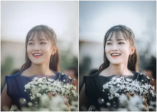 Free Best Cinematic Film Tone Presets