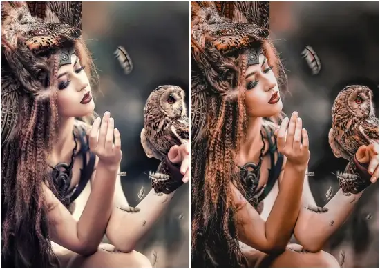 Dark and Moody Lightroom Presets