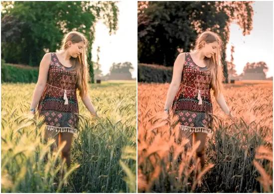 Preset Lightroom Cinematic Color Tone