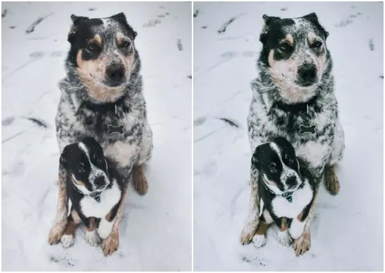 Lightroom Presets Cinematic Winter Presets