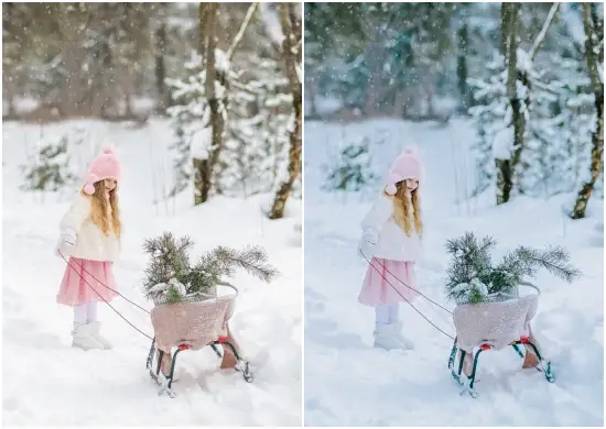 Lightroom Presets Cinematic Winter Dng