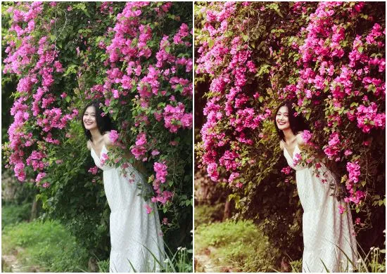 Contrast Travel Presets