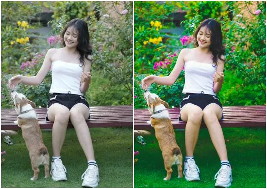 High Contrast Presets