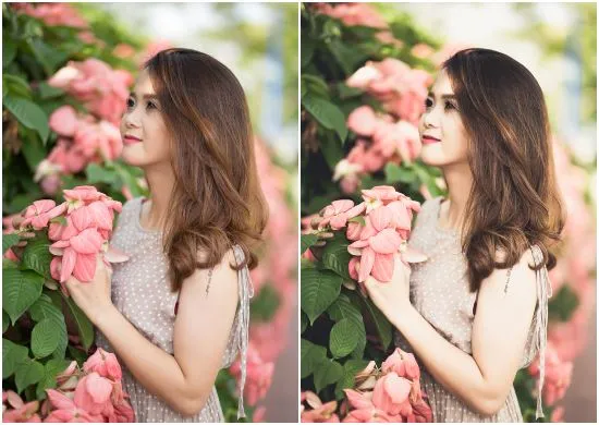 Color Contrast Presets