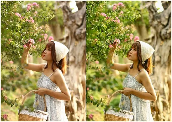 Contrast Black and White