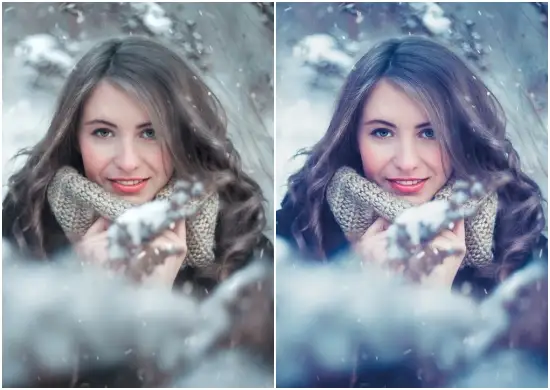 Life Style Winter Preset