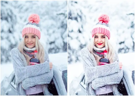 Outdoor Christmas Winter Holiday