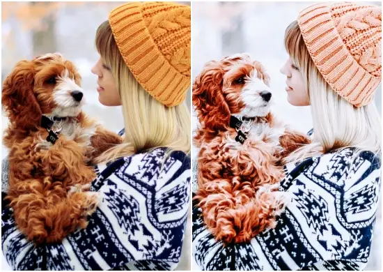 Winter Holiday Free Preset