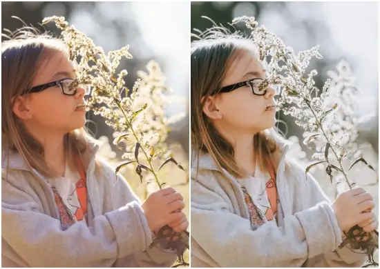 Country Living Lightroom Preset Collections