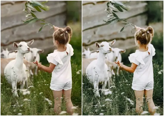 Country Living Bright and White Preset Lightroom