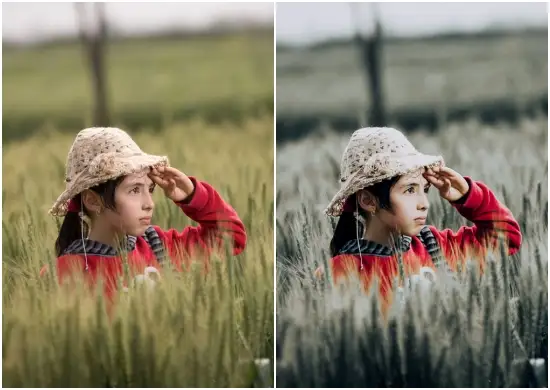 Country presets pack lifestyle photography