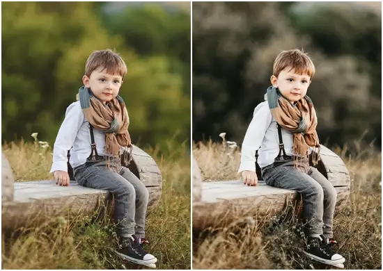 Country Living Lifestyle Presets Lightroom Dng