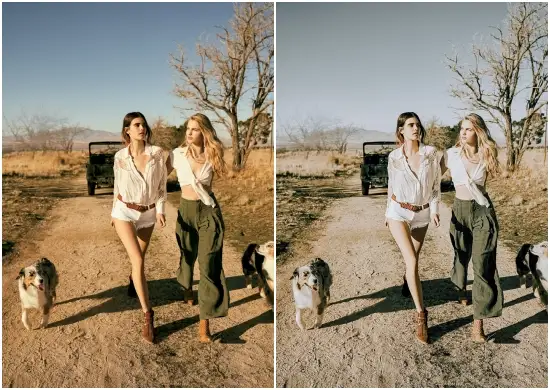 Free Download Country Living Lifestyle Presets