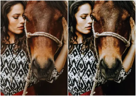 Lifestyle Lightroom Presets Country Living