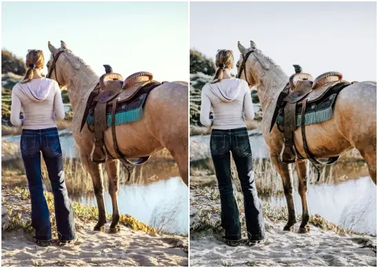 Heart and Lifestyle Dng Presets Download