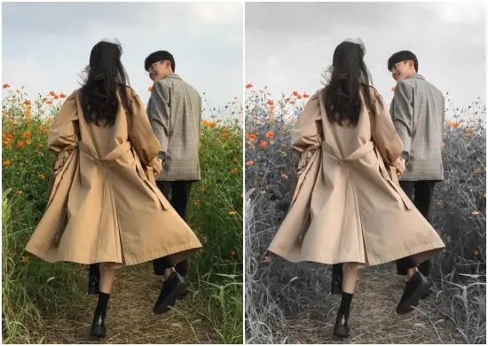 Family Couple Portrait Preset