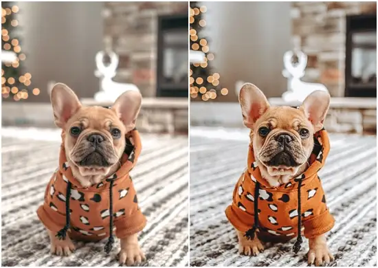 Christmas cozy presets photoshop