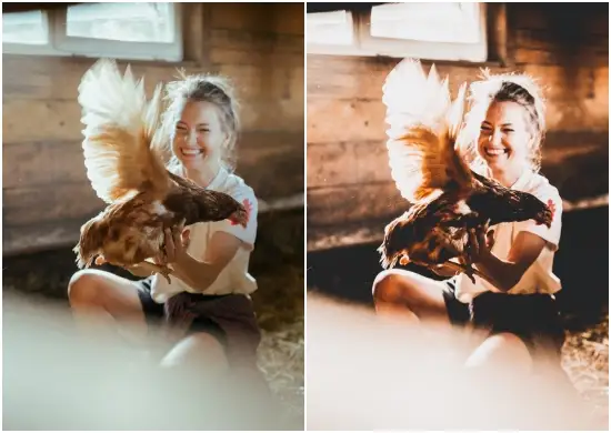 Free Creamsicle Preset