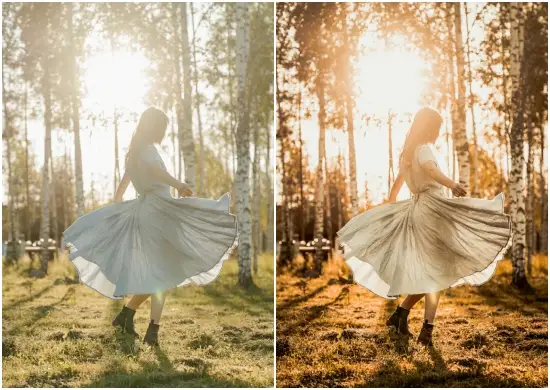 Free Download Creamsicle Preset Dng