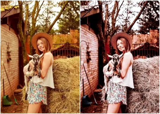 Creamsicle Lightroom Presets Pack Graphic