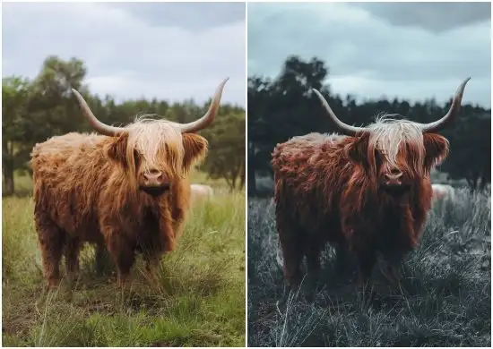 Dark Lightroom Presets Pinkish