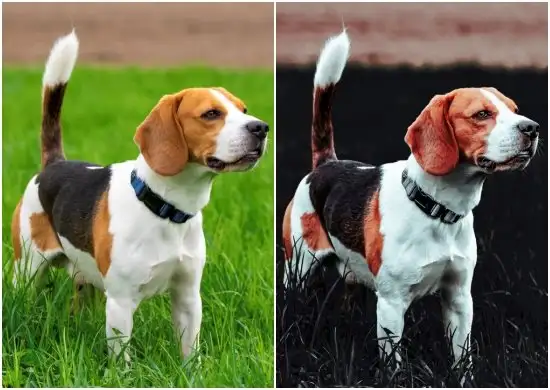 Dramatic Dark Presets