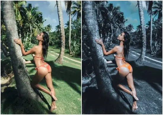 Moody Lr Presets Free Sepia